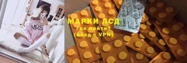 прущий лед Богданович