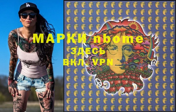 прущий лед Богданович