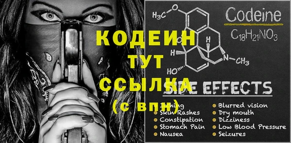 прущий лед Богданович