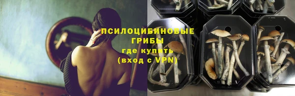 метадон Богородицк