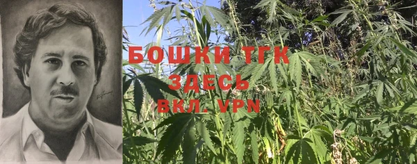 mdpv Богородск