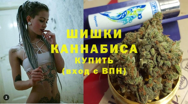 прущий лед Богданович