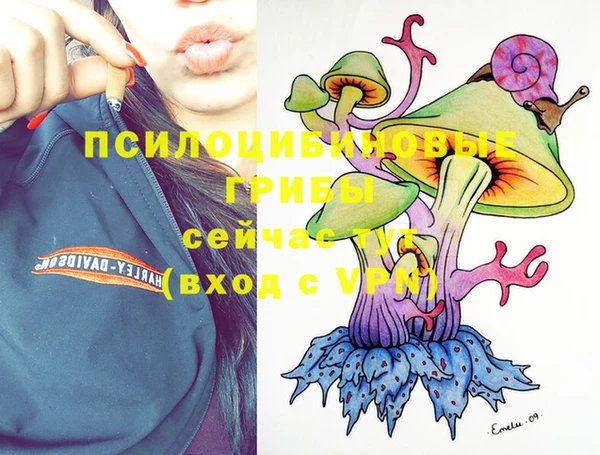 метадон Богородицк