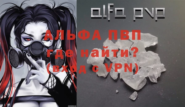 прущий лед Богданович