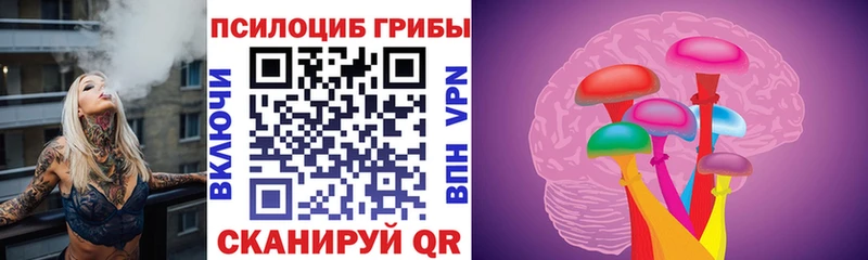 Купить Высоковск Галлюциногенные грибы Magic Shrooms